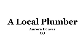 a local plumber