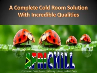 A Complete Cold Room Solution With Incredible Qualities