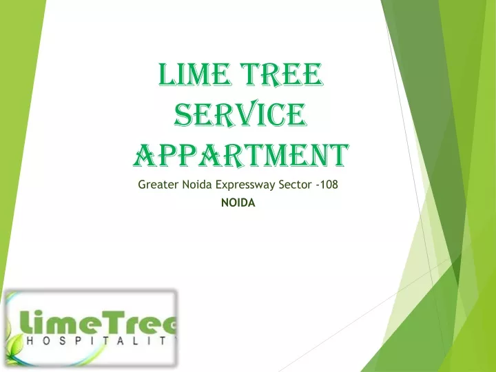 lime tree service appartment