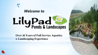 welcome to