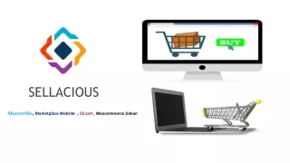 Sellacious Offers Easy, Modern & Optimised Store Fronts