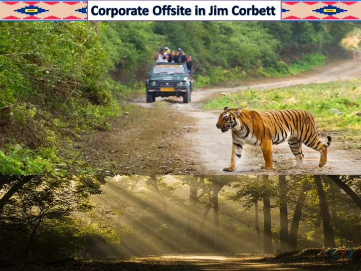 corporate offsite in jim corbett