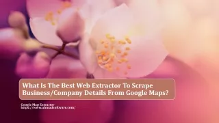 what is the best web extractor to scrape business