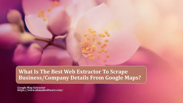 what is the best web extractor to scrape business
