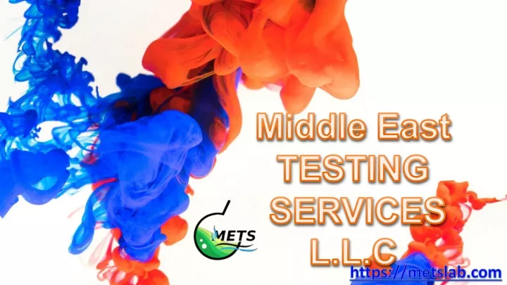 middle east testing services l l c