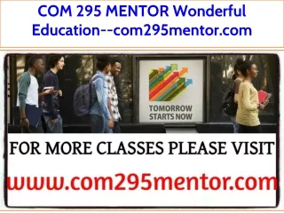 COM 295 MENTOR Wonderful Education--com295mentor.com