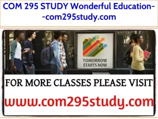 COM 295 STUDY Wonderful Education--com295study.com