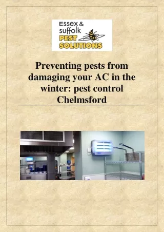 Why the Pest Control Chelmsford Become Very Popular?