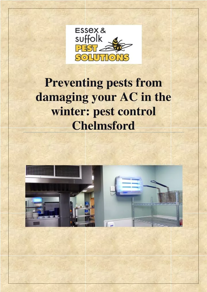 preventing pests from damaging your