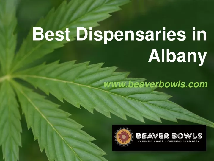 best dispensaries in albany