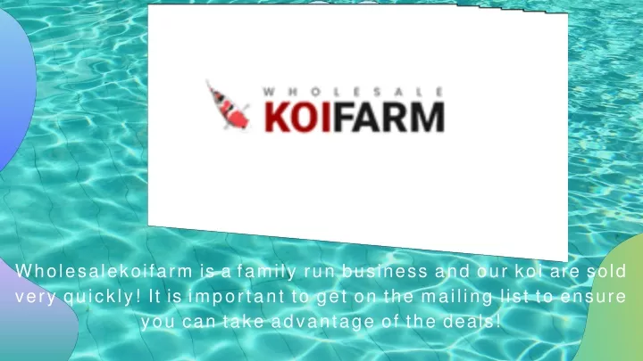 wholesalekoifarm is a family run business