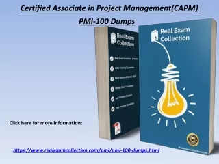 certified associate in project management capm