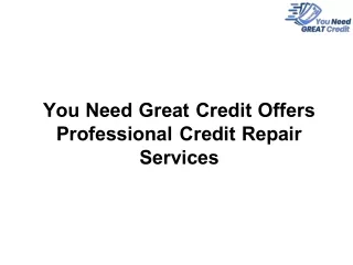 You Need Great Credit Offers Professional Credit Repair Services