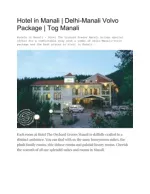Hotel in Manali | Manali Room Packages | Tog Manali