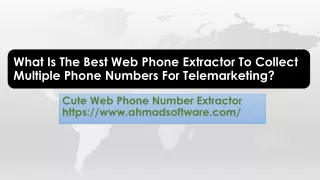what is the best web phone extractor to collect