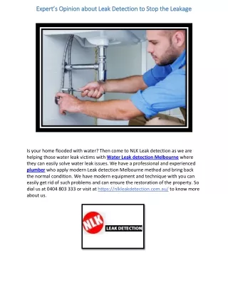 Expert’s Opinion about Leak Detection to Stop the Leakage