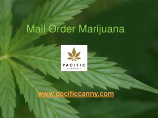 Mail Order Marijuana - www.pacificcanny.com