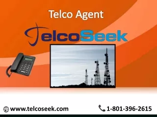 telco agent