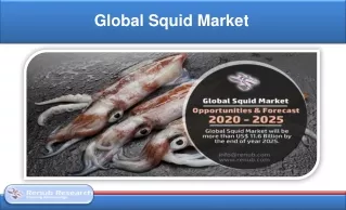 Global Squid Market Forecast by Import, Export & Production