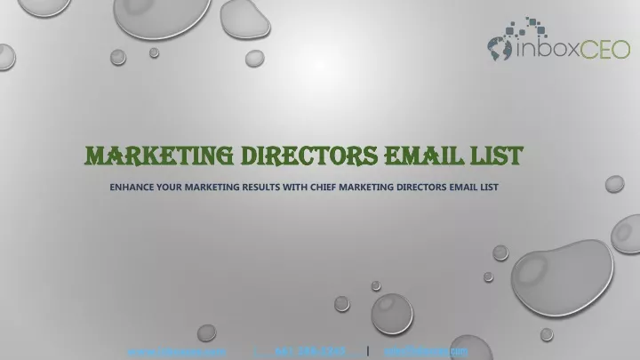 marketing directors email list