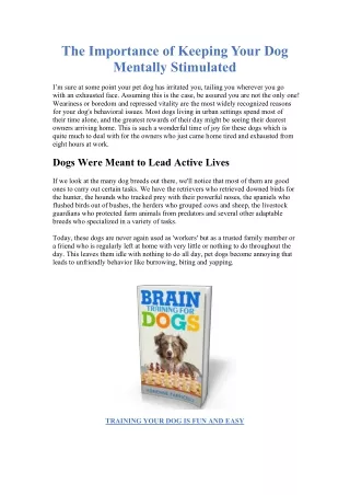 THE IMPORTANCE OF BRAIN TRAINING FOR DOGS