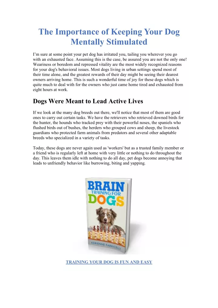 the importance of keeping your dog mentally