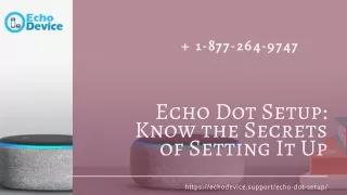 Instant Alexa Echo Dot Setup | Echo Dot Setup Help –Call Now