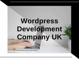 Wordpress Development Company UK