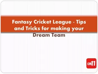 Fantasy Cricket League - Tips and Tricks for making your dream team