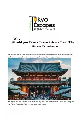 Why Should you Take a Tokyo Private Tour: The Ultimate Experience