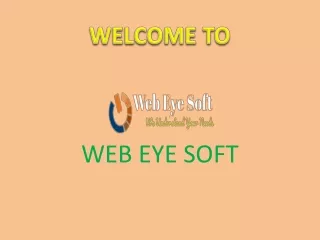 Cheap and Secure Web Hosting in India – Web Eye Soft
