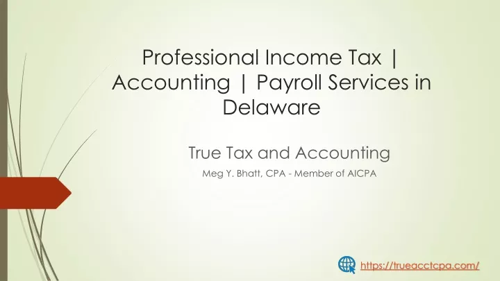 professional income tax accounting payroll services in delaware