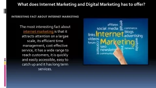 What does Internet Marketing and Digital Marketing has to offer?
