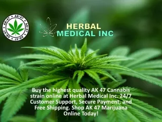 Buy AK 47 Cannabis Strain Canada