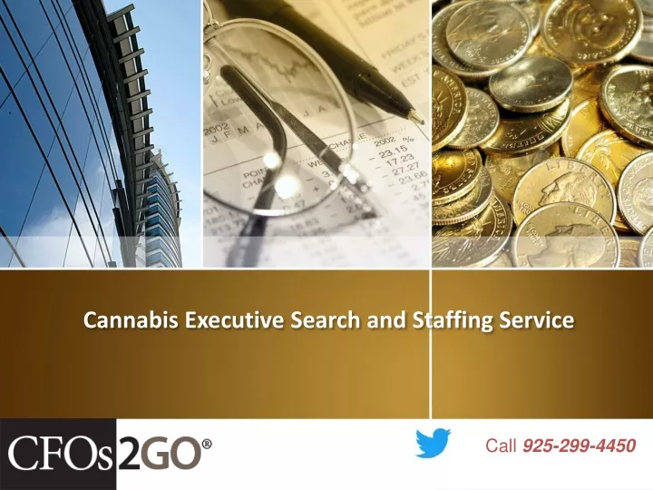 cannabis executive search and staffing service