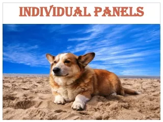 Individual Panels & River Side Puppi
