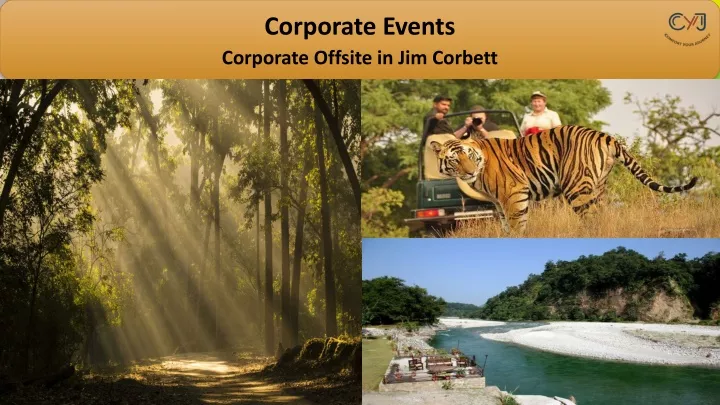corporate events corporate offsite in jim corbett