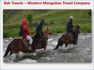 Back to Bek Travels – Western Mongolian Travel Company