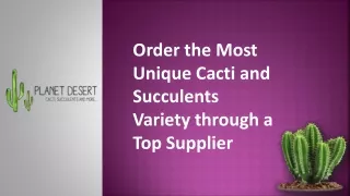 Order the Most Unique Cacti and Succulents Variety through a Top Supplier