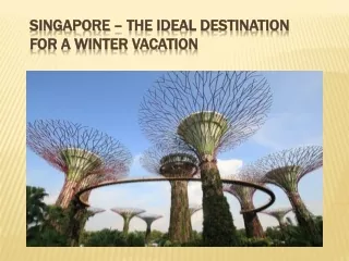 Singapore – The Ideal Destination for A Winter Vacation