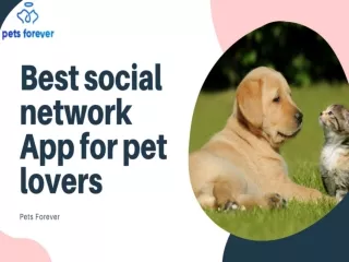 Best social network App for pets lovers