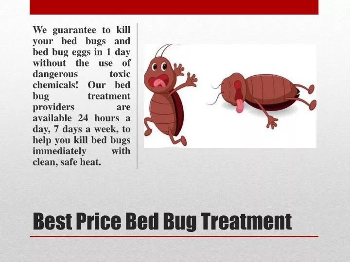 we guarantee to kill your bed bugs