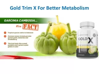 Gold Trim X - Reduce Your Weight In Good Manner
