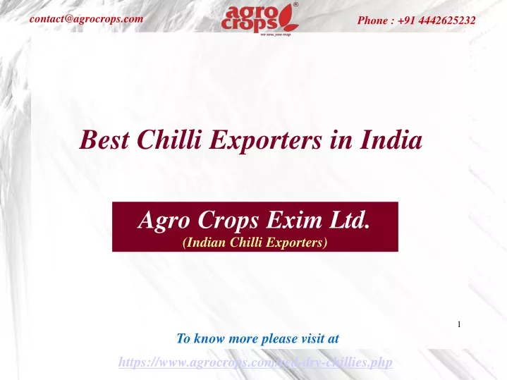 best chilli exporters in india