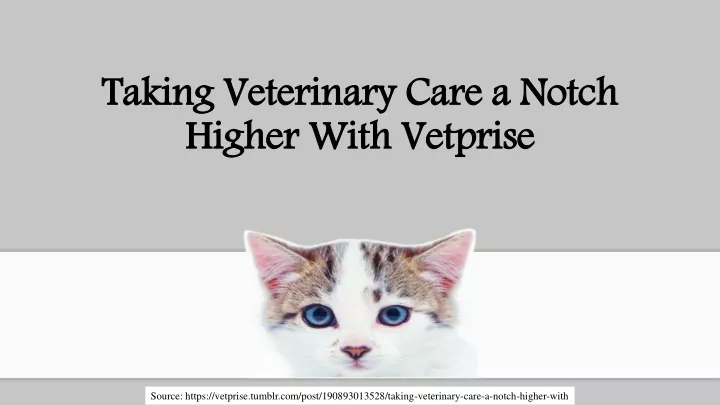 taking veterinary care a notch higher with vetprise
