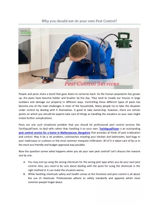 why you should not do your own pest control