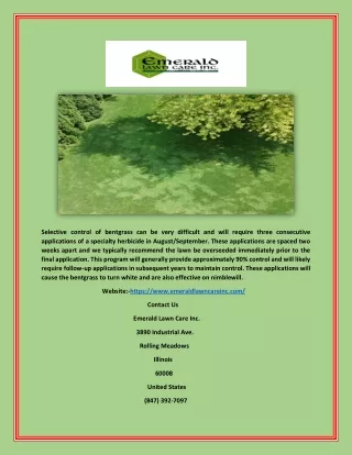 selective control of bentgrass can be very