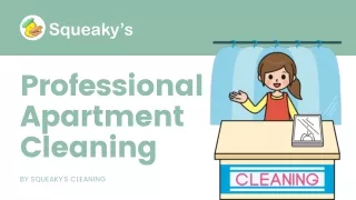 Professional Apartment Cleaning - Squeaky's Cleaning