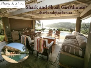 Shark and Shoal Guesthouse