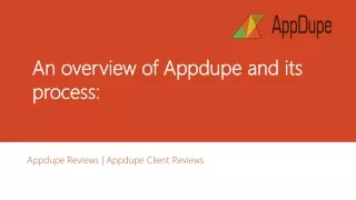 An overview of Appdupe and its process: